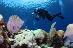 11146474_1046433912083635_7127716669612532955_o